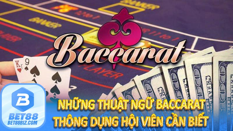 Những thuật ngữ Baccarat thông dụng hội viên cần biết 