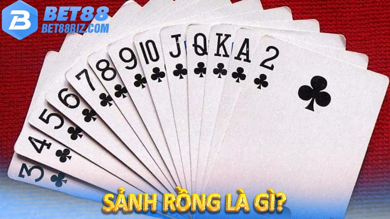 Sảnh rồng là gì?